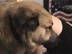 Her husband caught the animal-loving woman banging a dog in a movie scene.